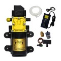 Máy bơm mini tự ngắt 12V dùng tưới cây, phun sương, làm vườn