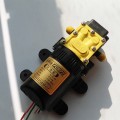 Máy bơm mini tự ngắt 12V dùng tưới cây, phun sương, làm vườn