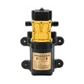 Máy bơm mini tự ngắt 12V dùng tưới cây, phun sương, làm vườn