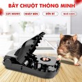 Combo 5 bẫy chuột thông minh siêu nhạy