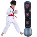 Bao trụ đấm bốc tự cân bằng