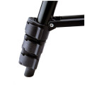 Chân máy chụp hình Tripod TF 3120 ĐEN cao cấp 