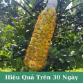 Dung dịch bẫy ruồi vàng, côn trùng dạng chai xịt 750ml