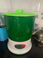 Hồ Thị Lý 