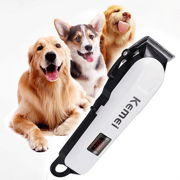 Máy tông đơ cao cấp dành cho thú cưng êm ái, cắt gọn nhanh chóng