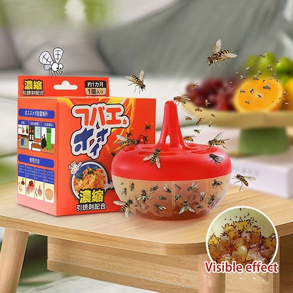 Bẫy bắt ruồi giấm, côn trùng không dùng hóa chất an toàn