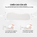 Gối cao su non cao cấp chống vẹo cổ giúp ngủ ngon, Ruột gối cao su non