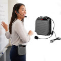 Loa trợ giảng HiFi S17 công suất 8W, pin bền, hỗ trợ giảng dạy