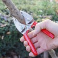 Kéo khoanh vỏ chiết cây lưỡi kép tự điều chỉnh tiện lợi