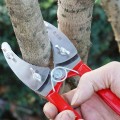 Kéo khoanh vỏ chiết cây lưỡi kép tự điều chỉnh tiện lợi