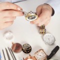 Bộ dụng cụ sửa chữa đồng hồ tháo lắp 16 món cá nhân