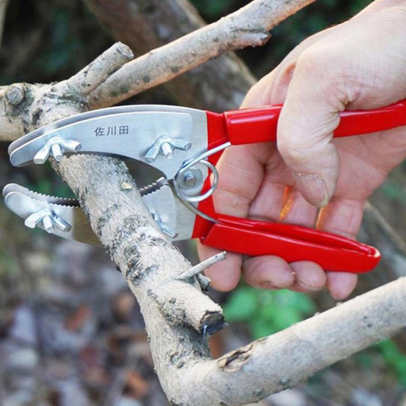 Kéo khoanh vỏ chiết cây lưỡi kép tự điều chỉnh tiện lợi