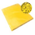 Set 20 miếng dán siêu bẫy ruồi, côn trùng gây hại cho hoa màu, cây ăn trái