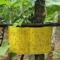 Set 20 miếng dán siêu bẫy ruồi, côn trùng gây hại cho hoa màu, cây ăn trái