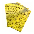 Set 20 miếng dán siêu bẫy ruồi, côn trùng gây hại cho hoa màu, cây ăn trái