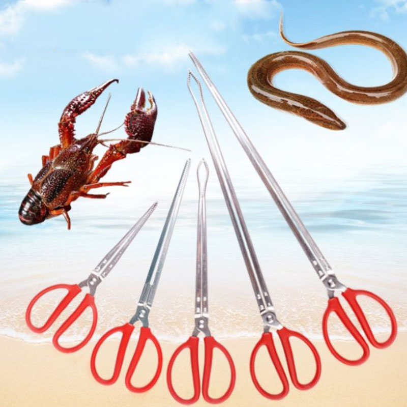 Kẹp bắt lươn, bắt hải sản chống trơn trượt tiện lợi