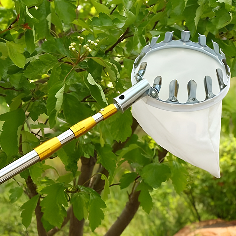 Sào hái trái cây trên cao cứng cáp có thể rút gọn