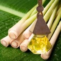 Tinh dầu hương chanh sả để treo xe ô tô, treo phòng, treo tủ quần áo