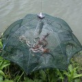 Lưới bắt cá bát quái 8 mắt chuyên nghiệp 