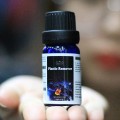 Chai phục hồi nhựa nhám bác màu Plastic Remover 10ml