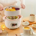 Nồi nấu chậm đa năng nấu cháo chưng yến kèm lồng hấp