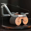 Con lăn luyện cơ bụng hỗ trợ tập luyện tại nhà có tay cầm hiệu quả, tiện lợi