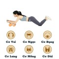 Con lăn luyện cơ bụng hỗ trợ tập luyện tại nhà có tay cầm hiệu quả, tiện lợi